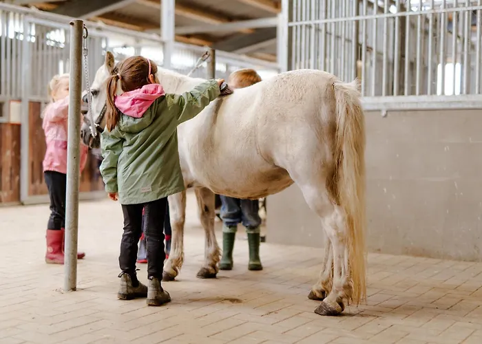 Casa vacanze Am Hof 4
