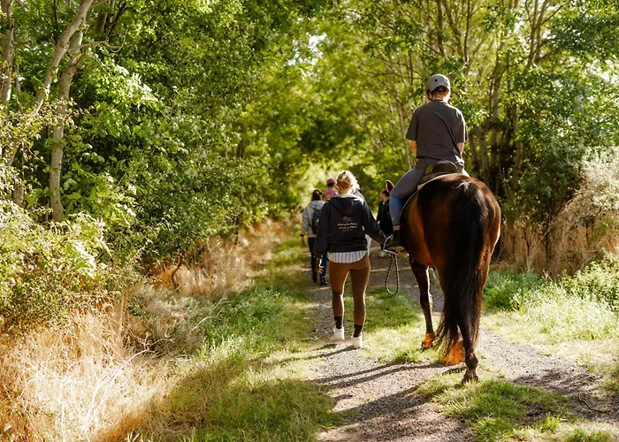 Am Hof 4 Casa vacanze Staberdorf