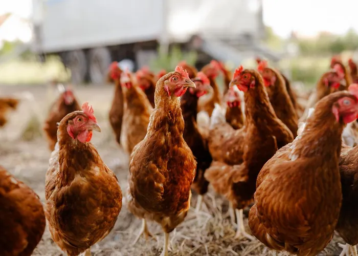 Am Hof 4 Casa vacanze